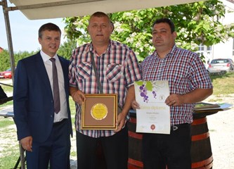 Muškat žuti šampion Vrbovečke izložbe vina