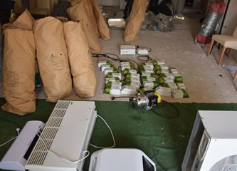 Improvizirani laboratorij u kući u Zaprešiću: Uz 230 stabljika marihuane pronašli i kokain