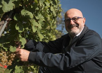 Milanović u Jaski na Diplomatskoj berbi brao grožđe s veleposlanicima