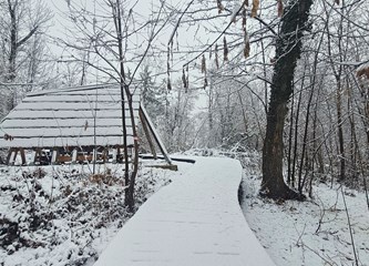 Briga za ptičice i kukce u najhladnijim danima: U Park šumi Stražnik postavljene hranilice