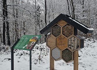 Briga za ptičice i kukce u najhladnijim danima: U Park šumi Stražnik postavljene hranilice
