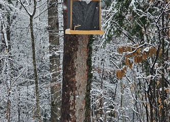 Briga za ptičice i kukce u najhladnijim danima: U Park šumi Stražnik postavljene hranilice